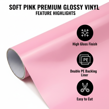 Feature Highlights Infographic